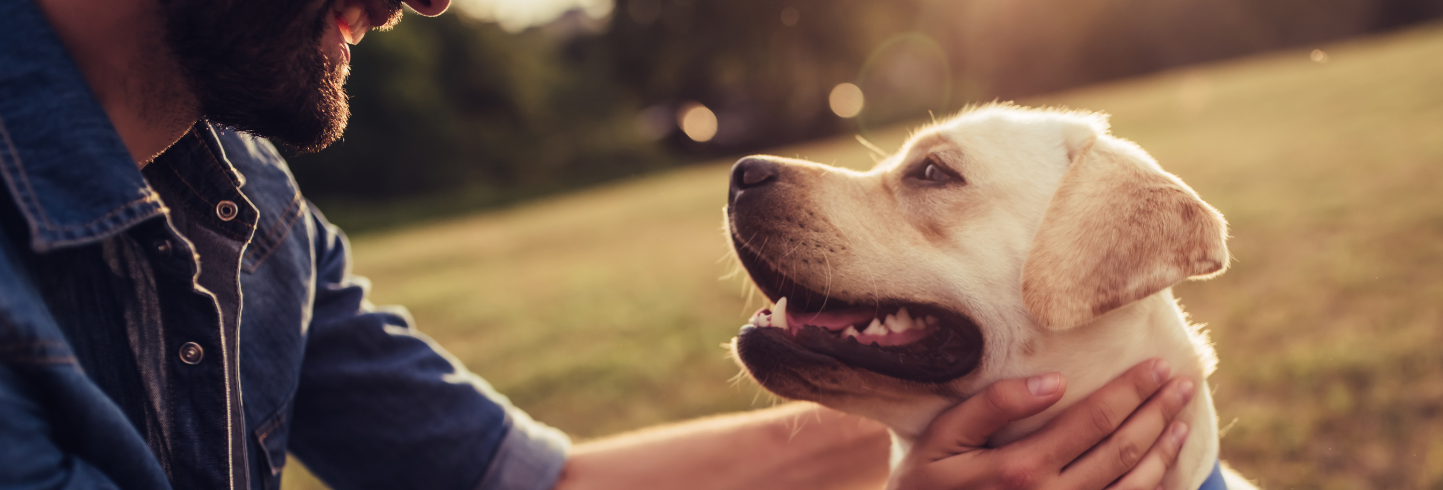 best vet Quincy