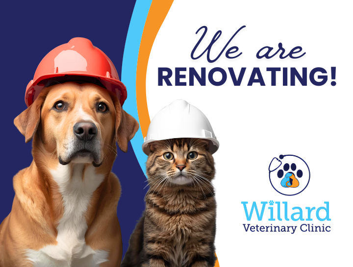We are Renovating!
